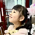 普罗旺斯的猫