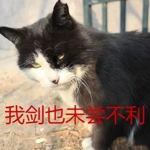 鸽子的晦暝