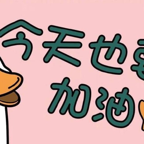 1q04s9xb2n1h53fo0-HB